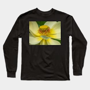 Yellow Lotus Flower display Long Sleeve T-Shirt